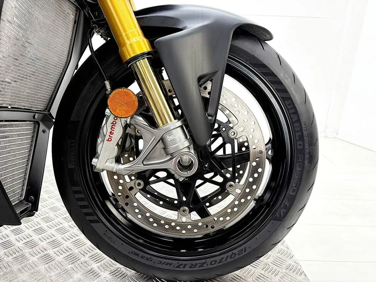 Ducati Streetfighter V4 S (2025 - 26) (11)