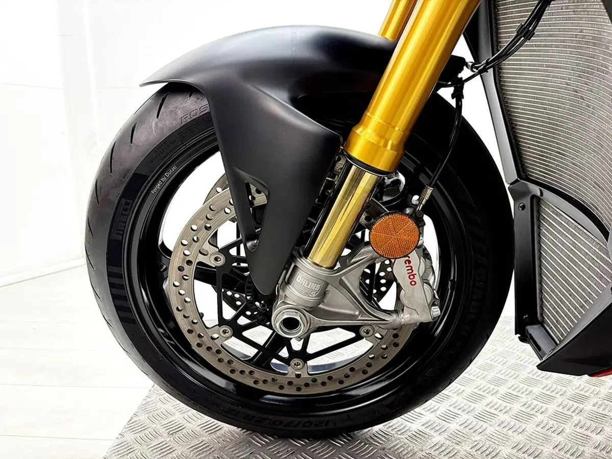 Ducati Streetfighter V4 S (2025 - 26) (12)