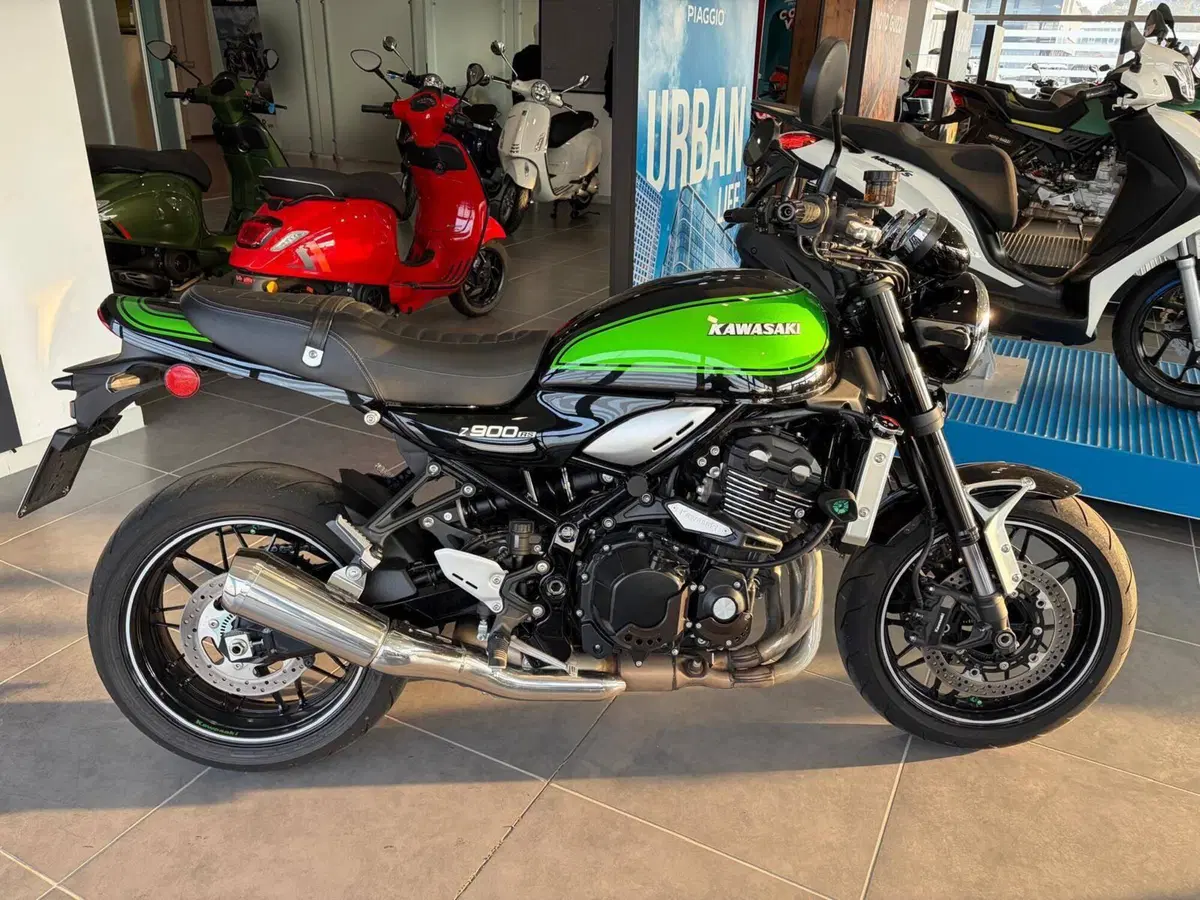 Kawasaki Z 900 RS SE (2022 - 25) (4)