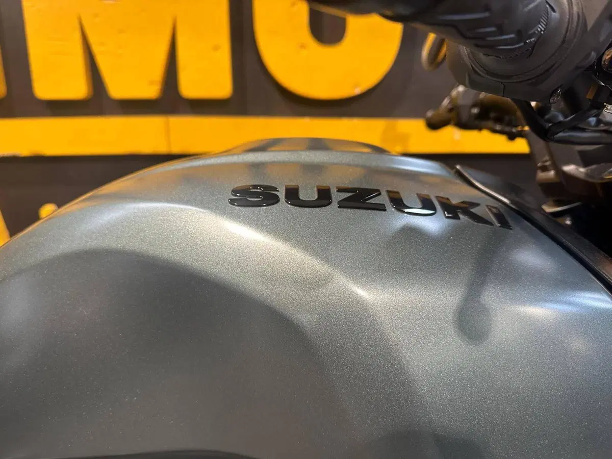 Suzuki GSX-8T (2025 - 26) (6)