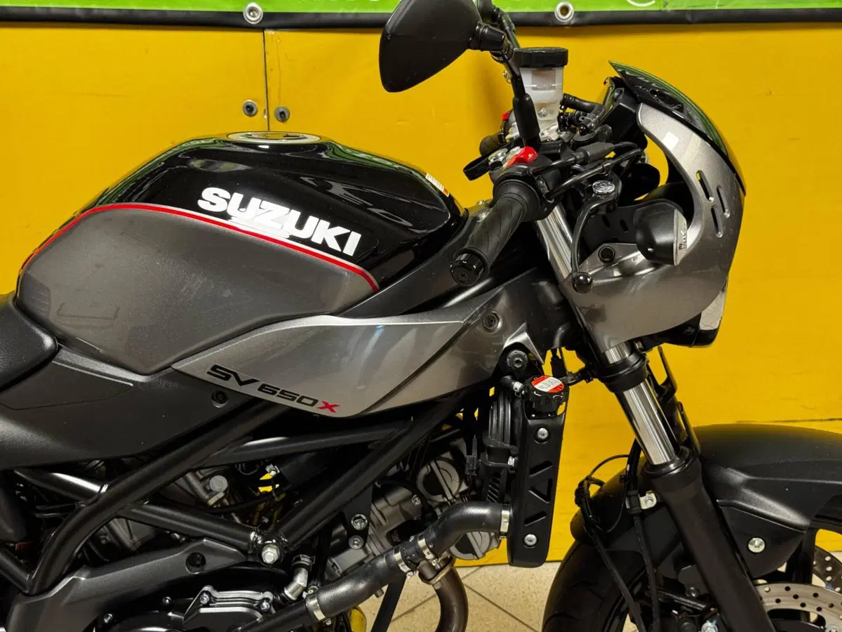 Suzuki SV 650 (2016 - 20) (5)