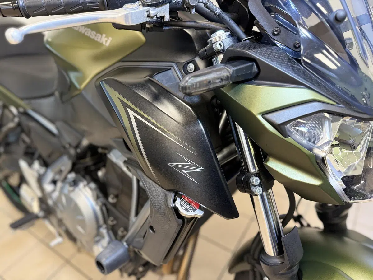 Kawasaki Z 650 (2017 - 19) (10)