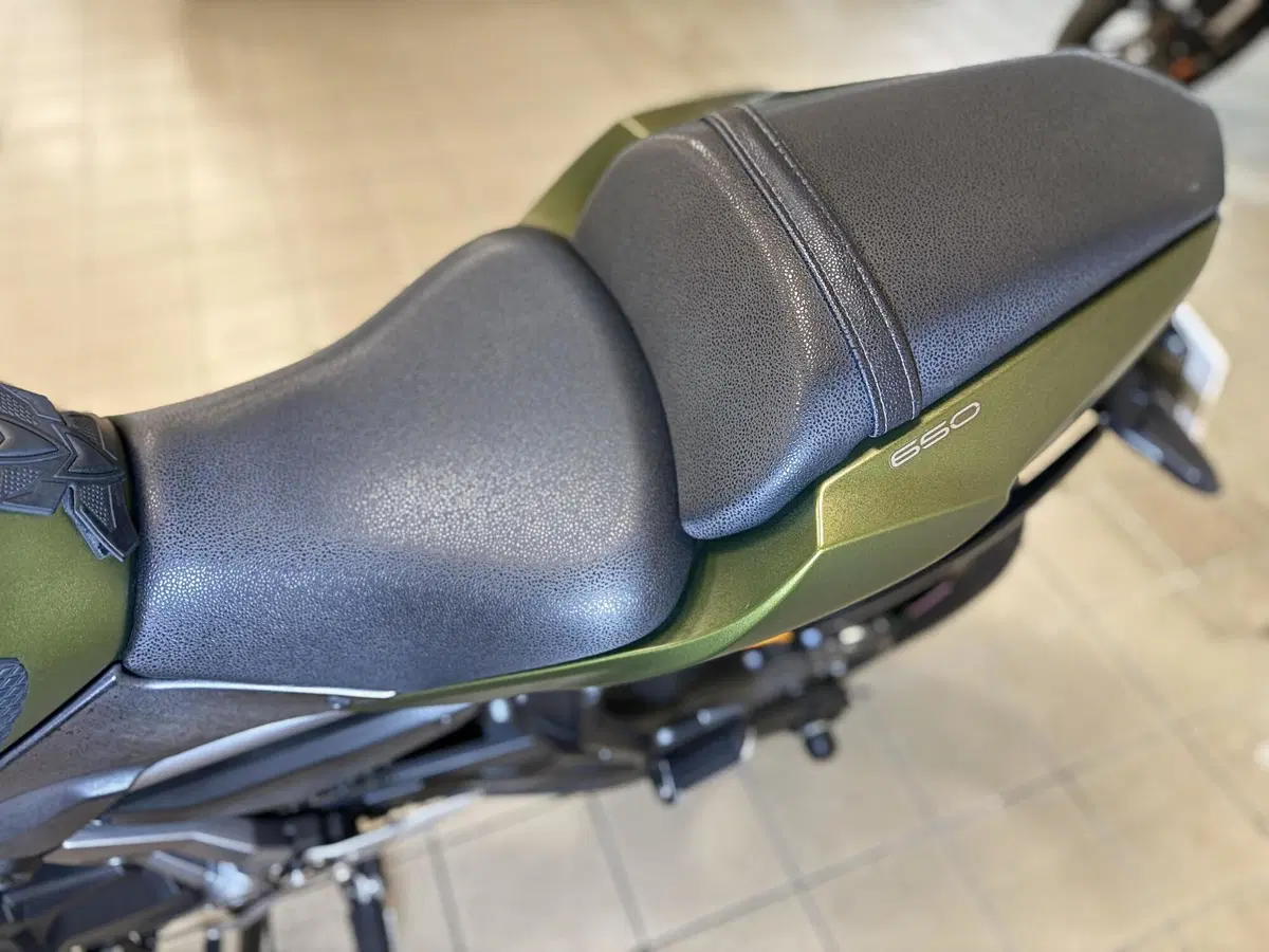Kawasaki Z 650 (2017 - 19) (12)