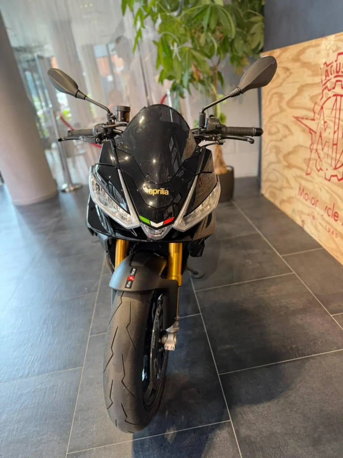 Aprilia Tuono V4 Factory (2021 - 24) (6)