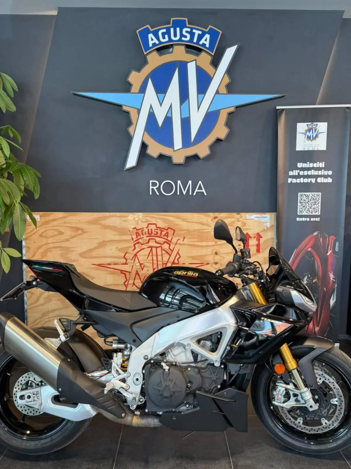Aprilia Tuono V4 Factory (2021 - 24) (4)