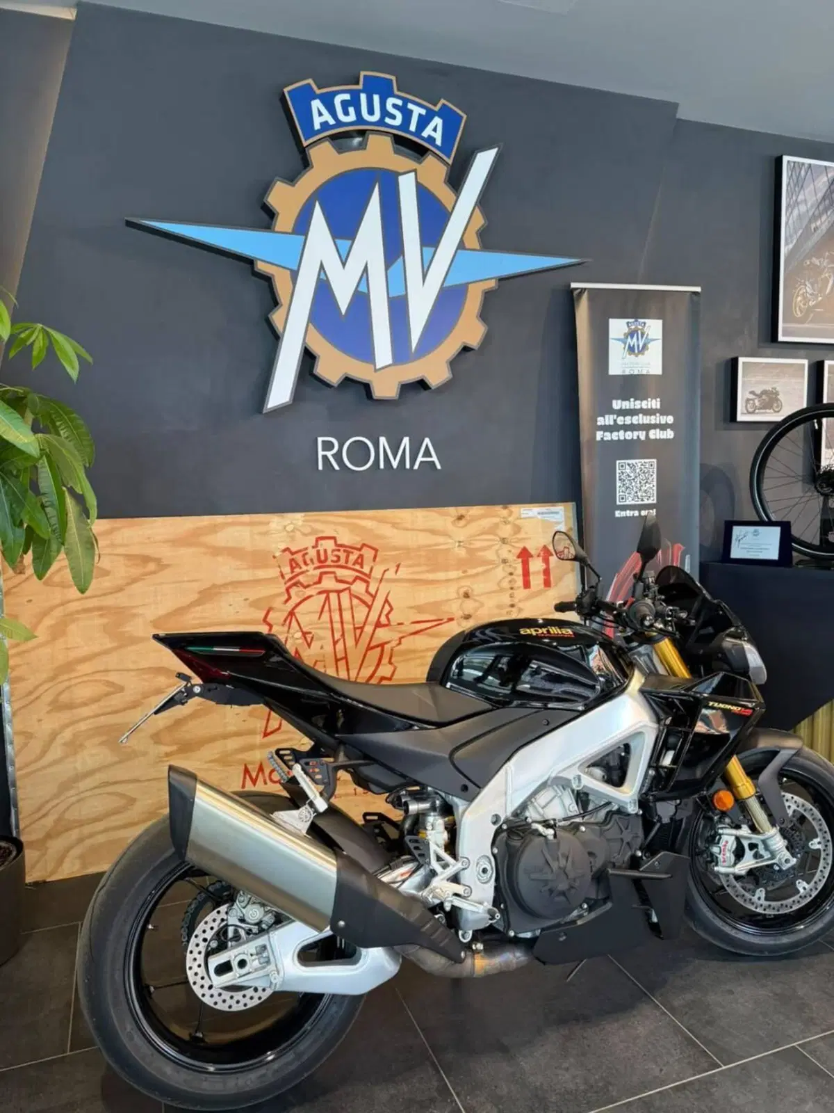 Aprilia Tuono V4 Factory (2021 - 24) (3)