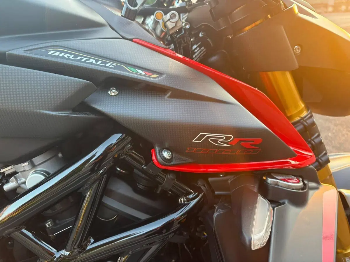 MV Agusta Brutale 1000 RR (2021 - 25) (20)