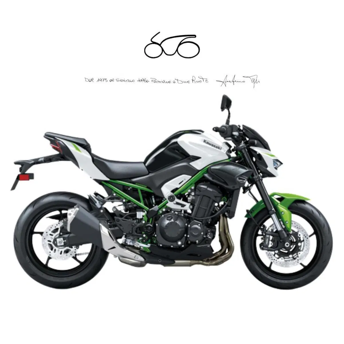 Kawasaki Z 900 A2 (2025 - 27)