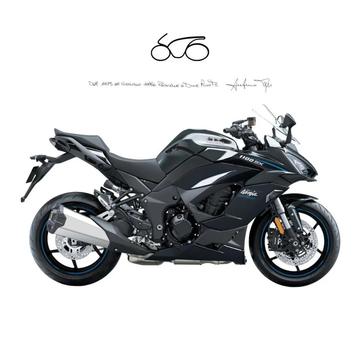 Kawasaki Ninja 1100 SX (2025 - 27)