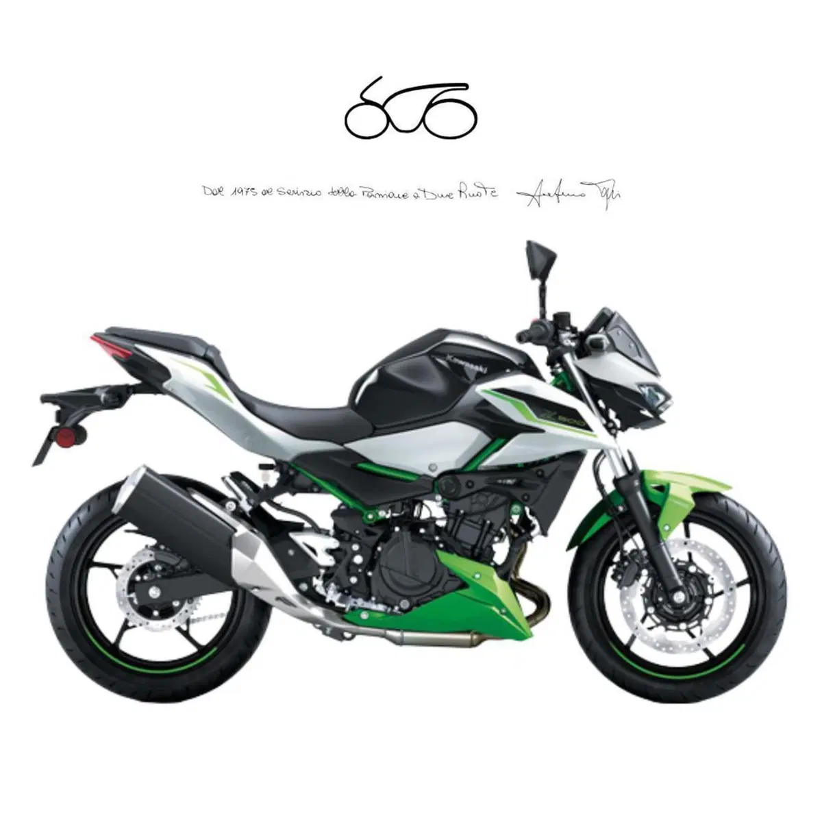 Kawasaki Z 500 SE (2024 - 27)