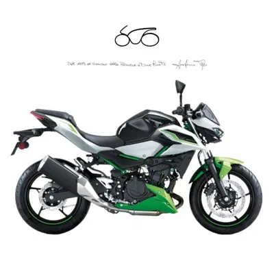 Kawasaki Z 500 SE (2024 - 27) nuova