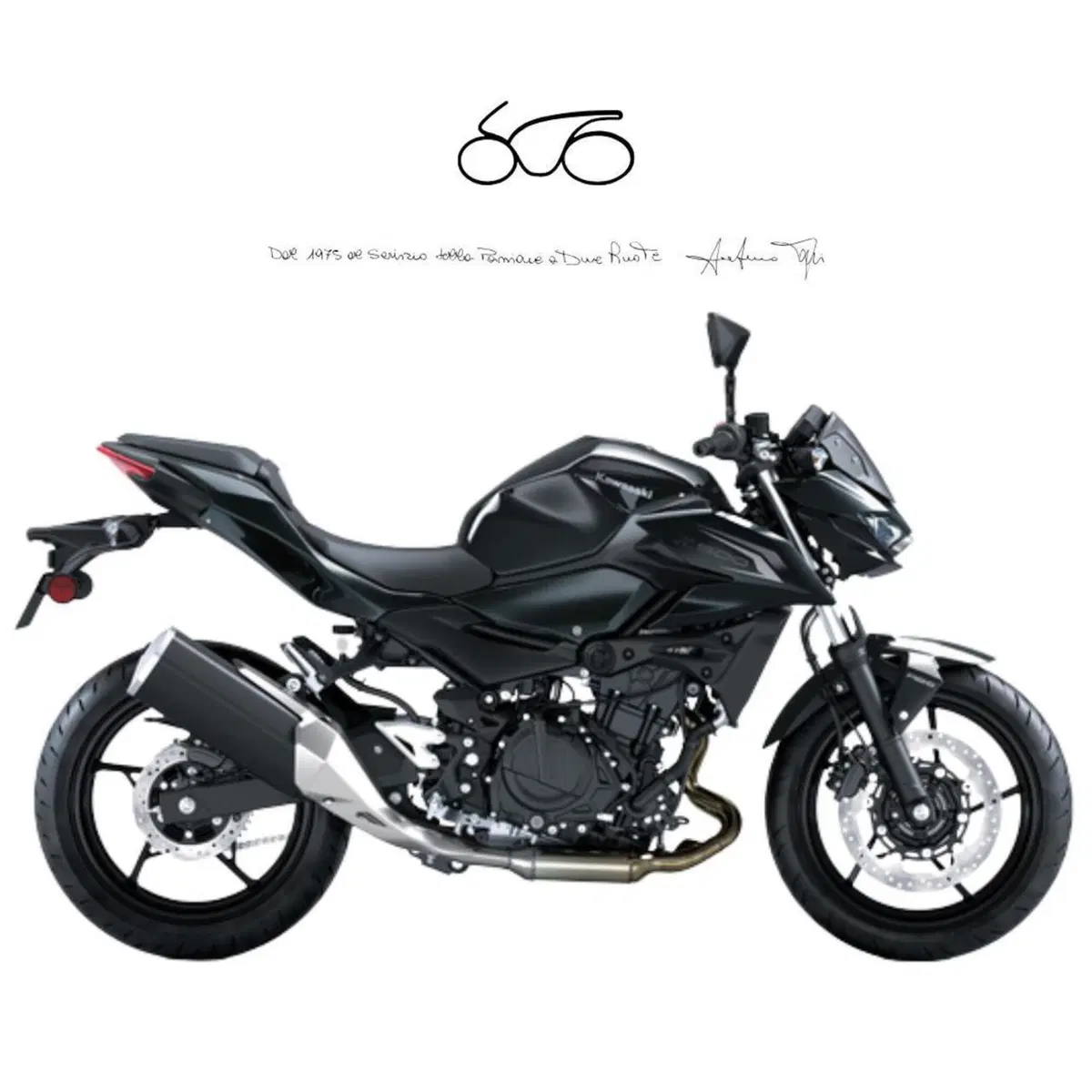 Kawasaki Z 500 (2024 - 27)