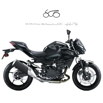 Kawasaki Z 500 (2024 - 27) nuova
