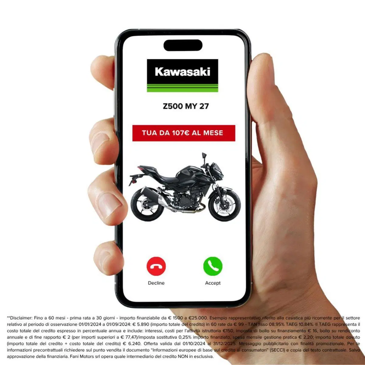 Kawasaki Z 500 (2024 - 27) (3)