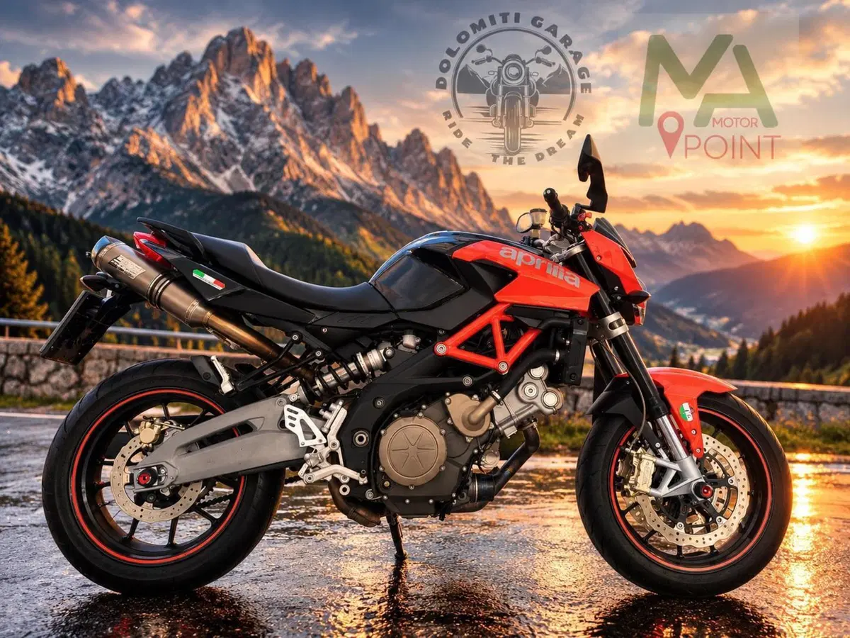 Aprilia Shiver 750 (2010 - 16) (2)