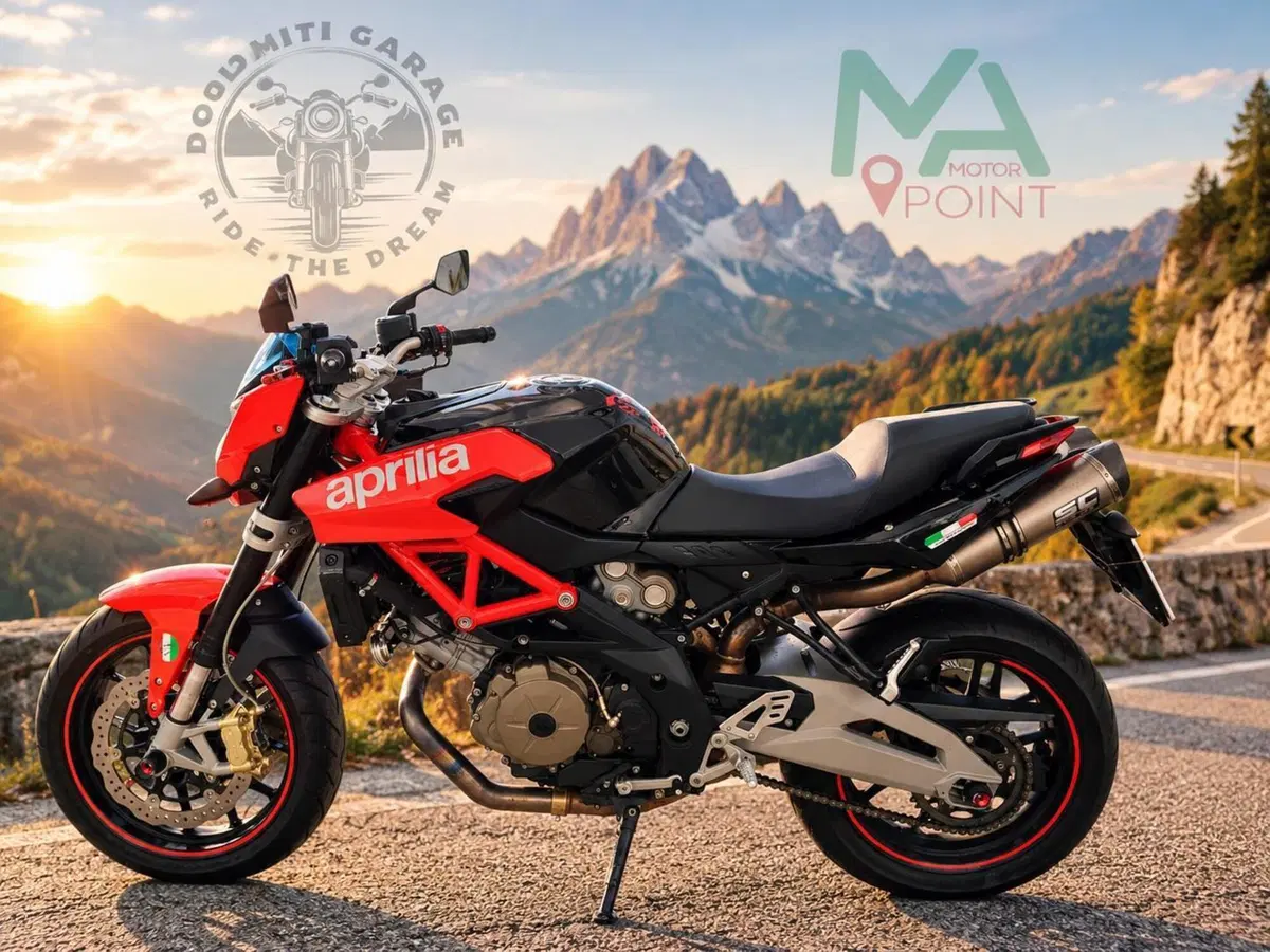Aprilia Shiver 750 (2010 - 16) (3)