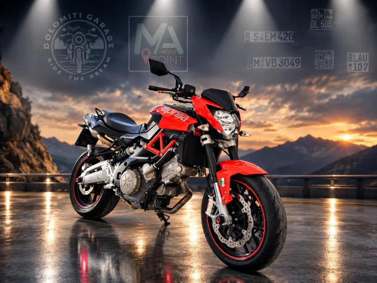 Aprilia Shiver 750 (2010 - 16) (4)