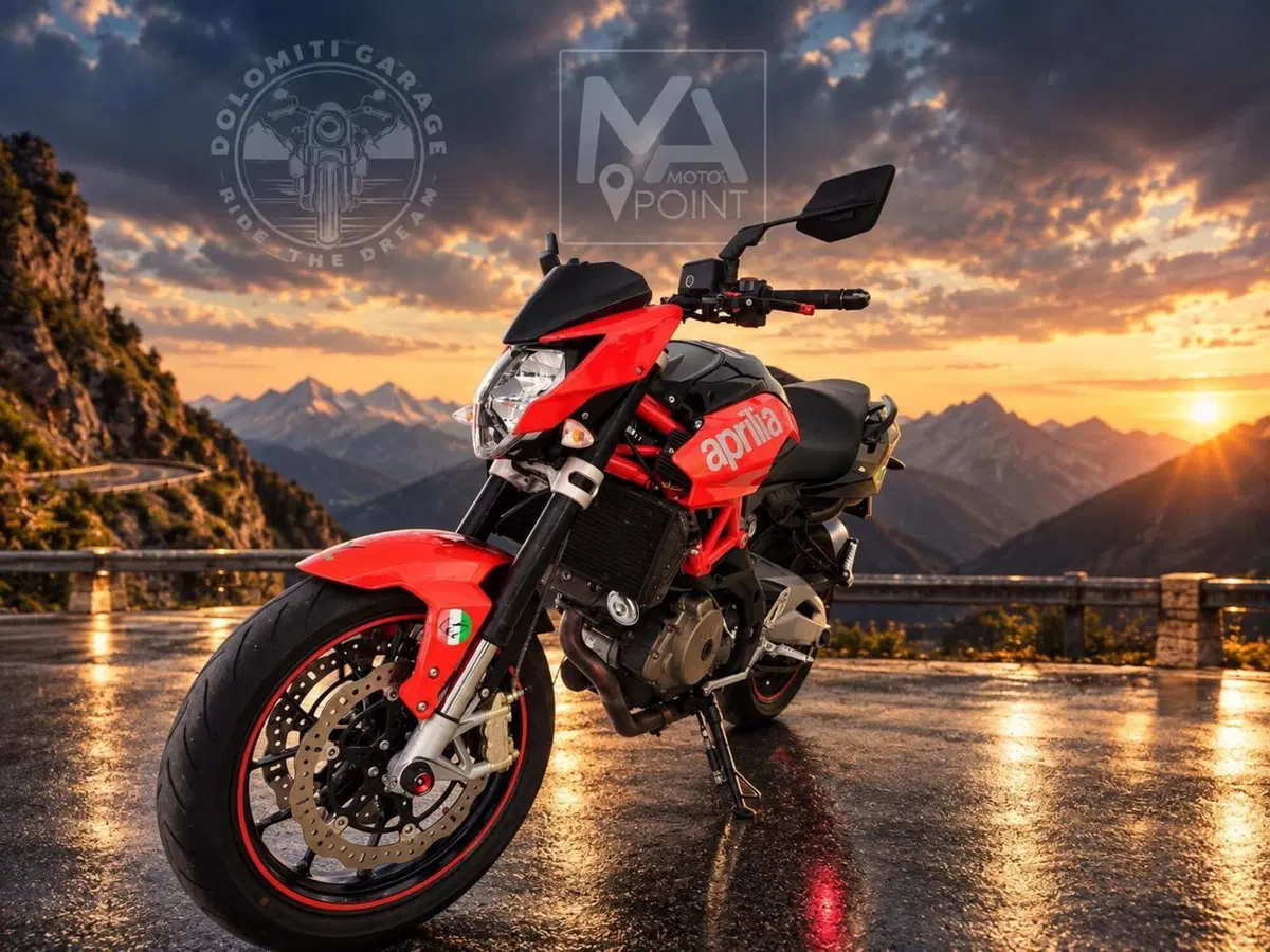 Aprilia Shiver 750 (2010 - 16) (5)