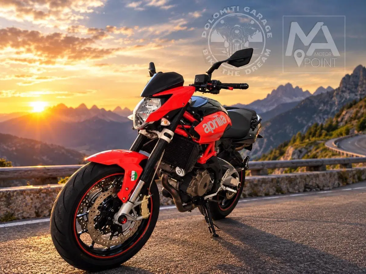 Aprilia Shiver 750 (2010 - 16) (6)