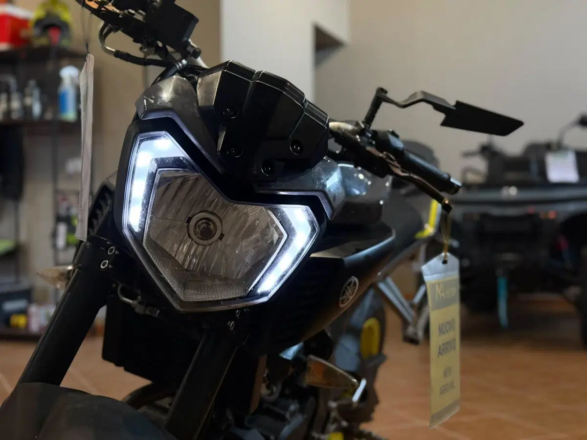 Yamaha MT-125 ABS (2017 - 19) (10)