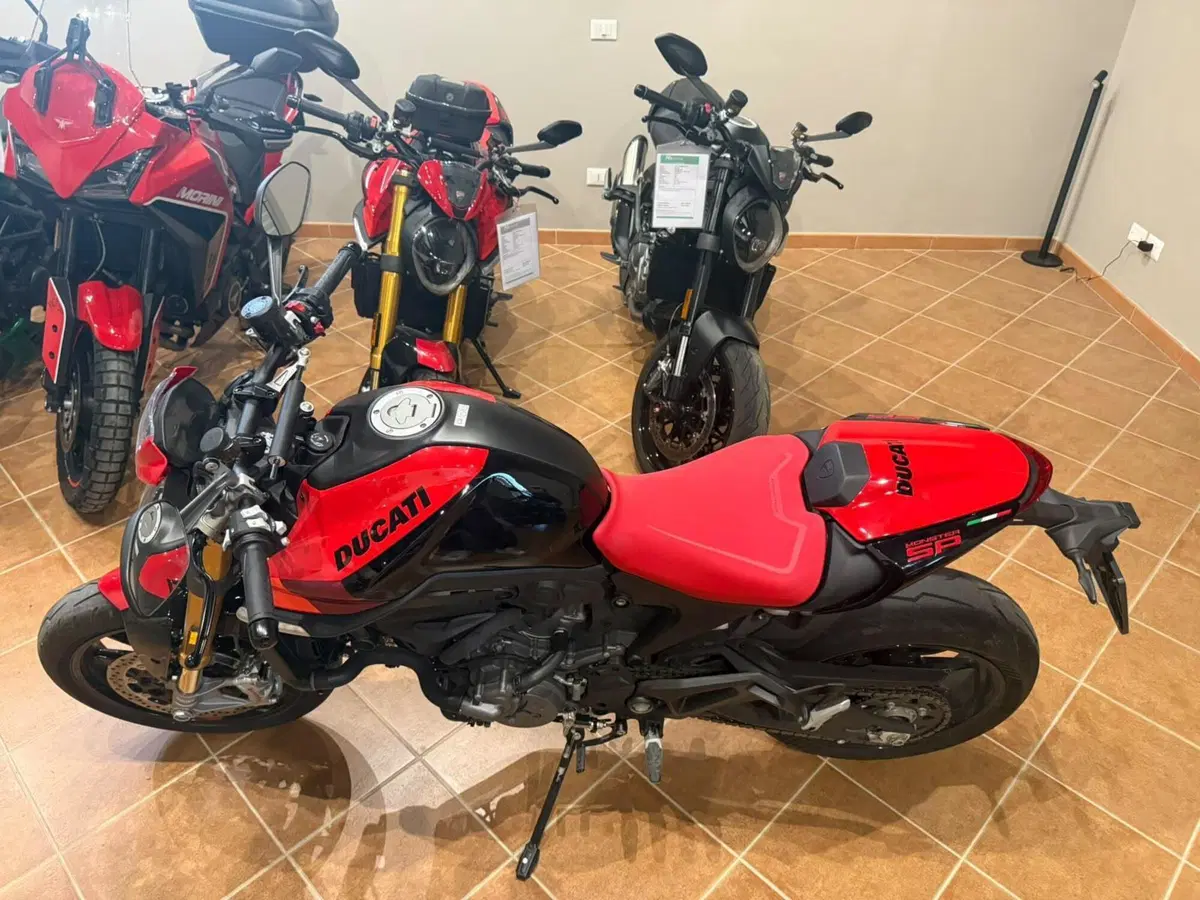 Ducati Monster 937 SP (2023 - 25) (3)