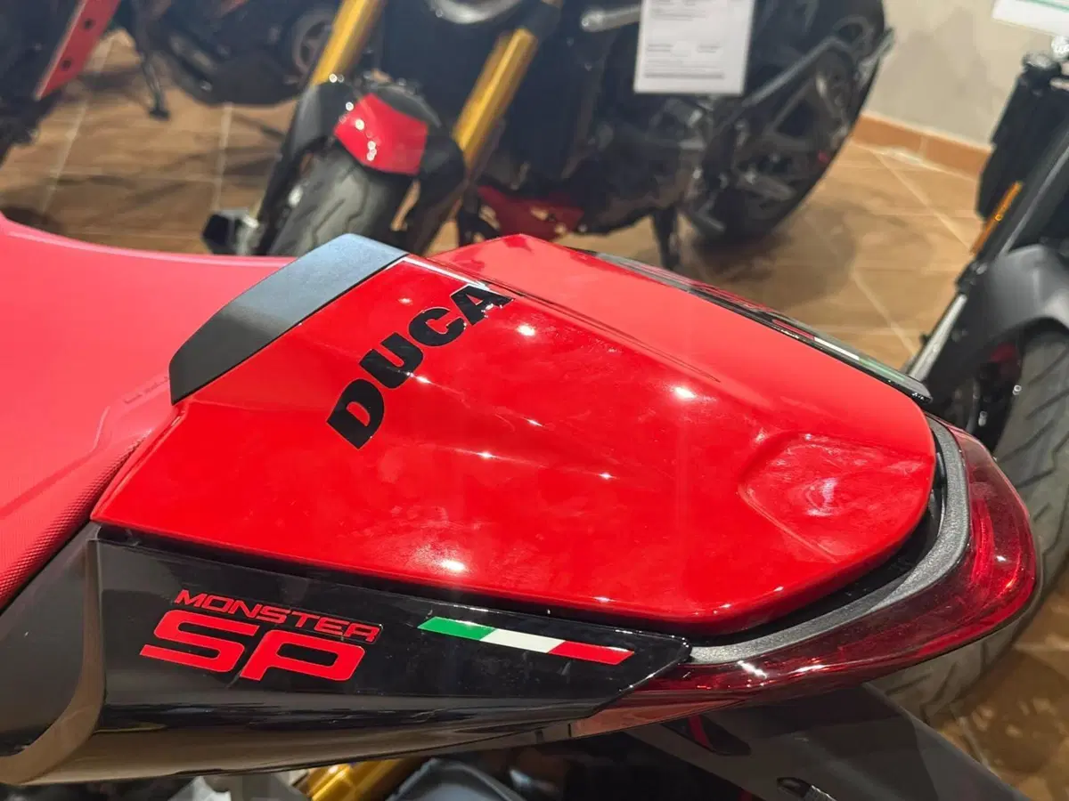 Ducati Monster 937 SP (2023 - 25) (5)