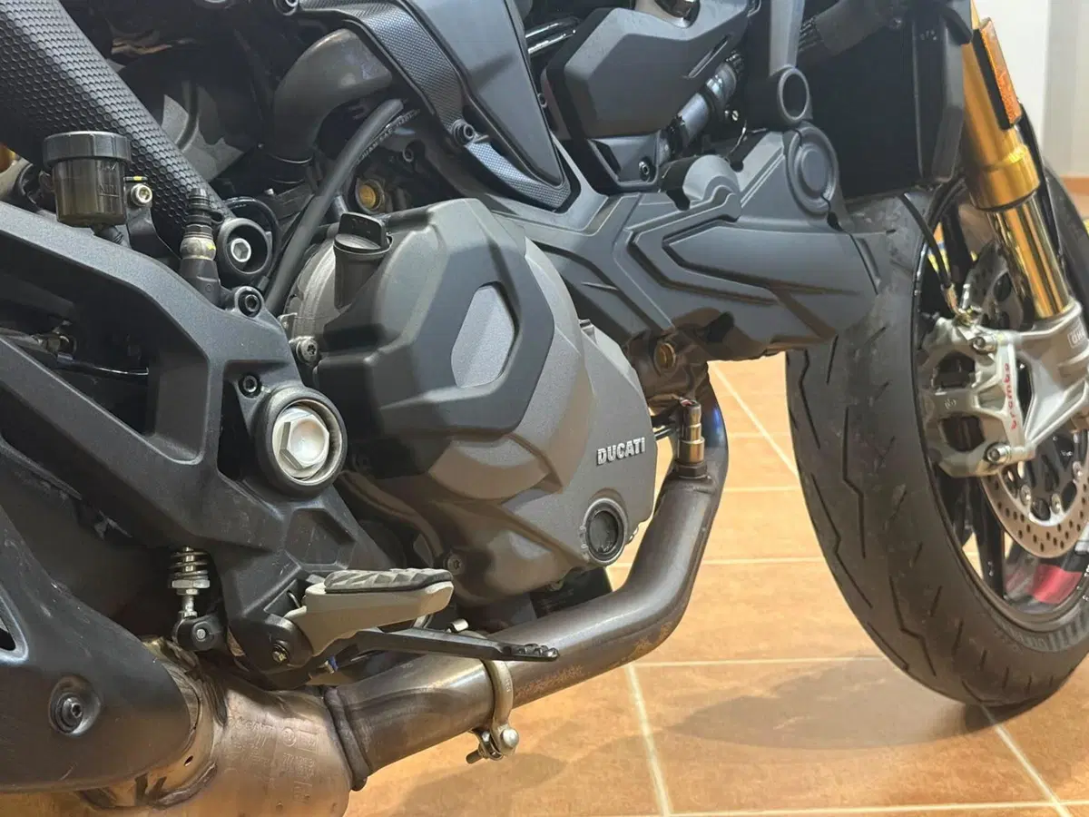 Ducati Monster 937 SP (2023 - 25) (7)
