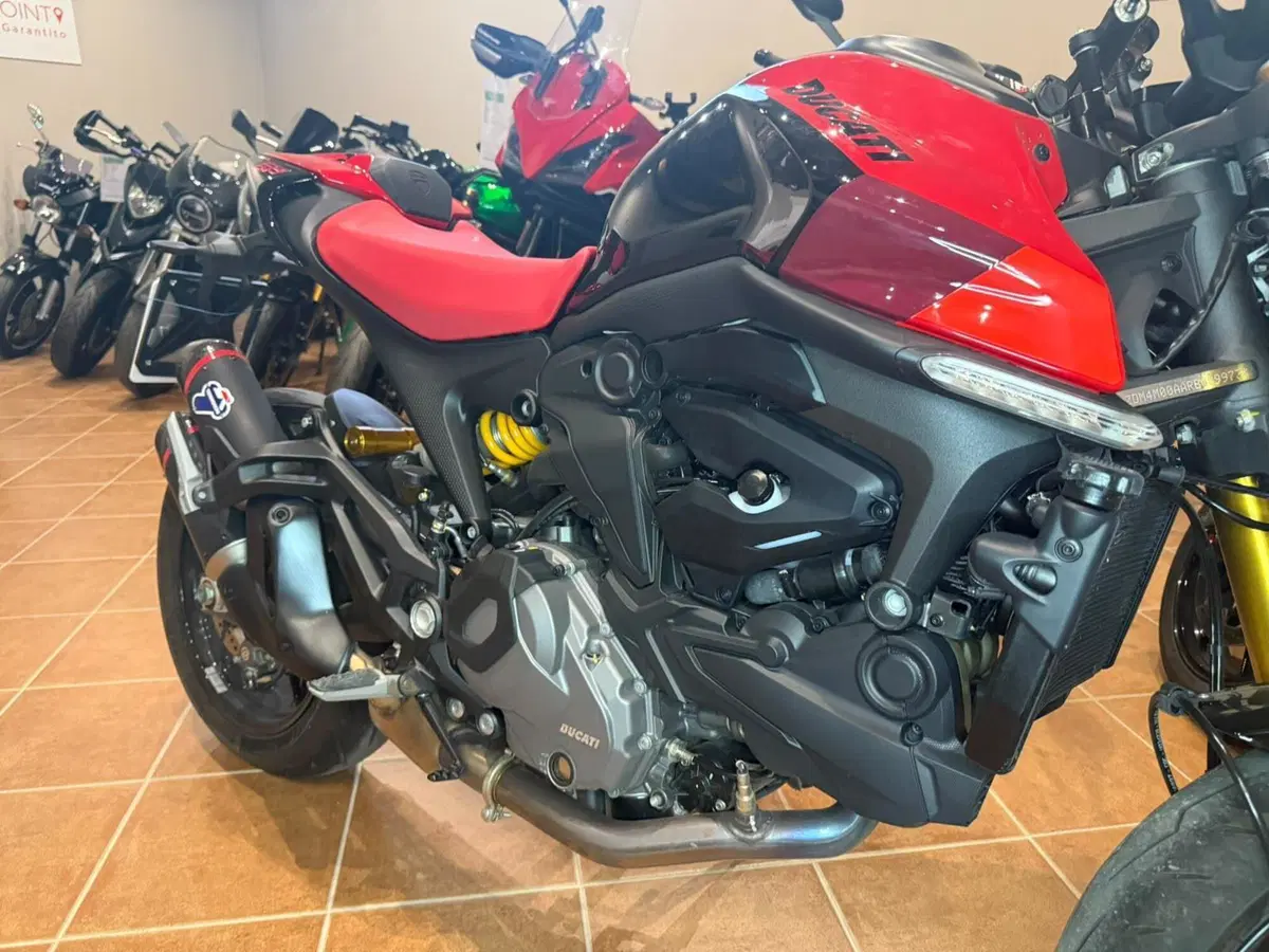 Ducati Monster 937 SP (2023 - 25) (10)