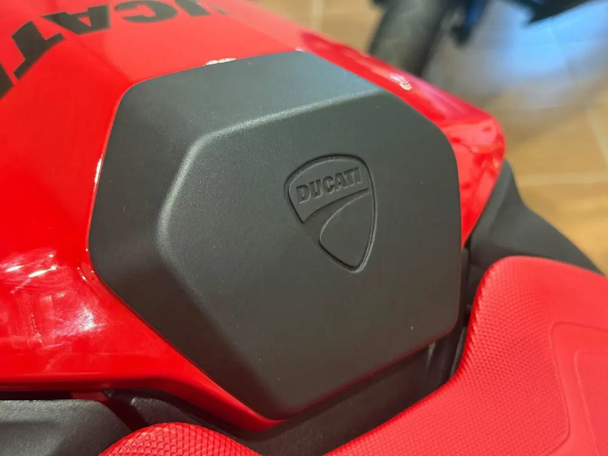 Ducati Monster 937 SP (2023 - 25) (13)