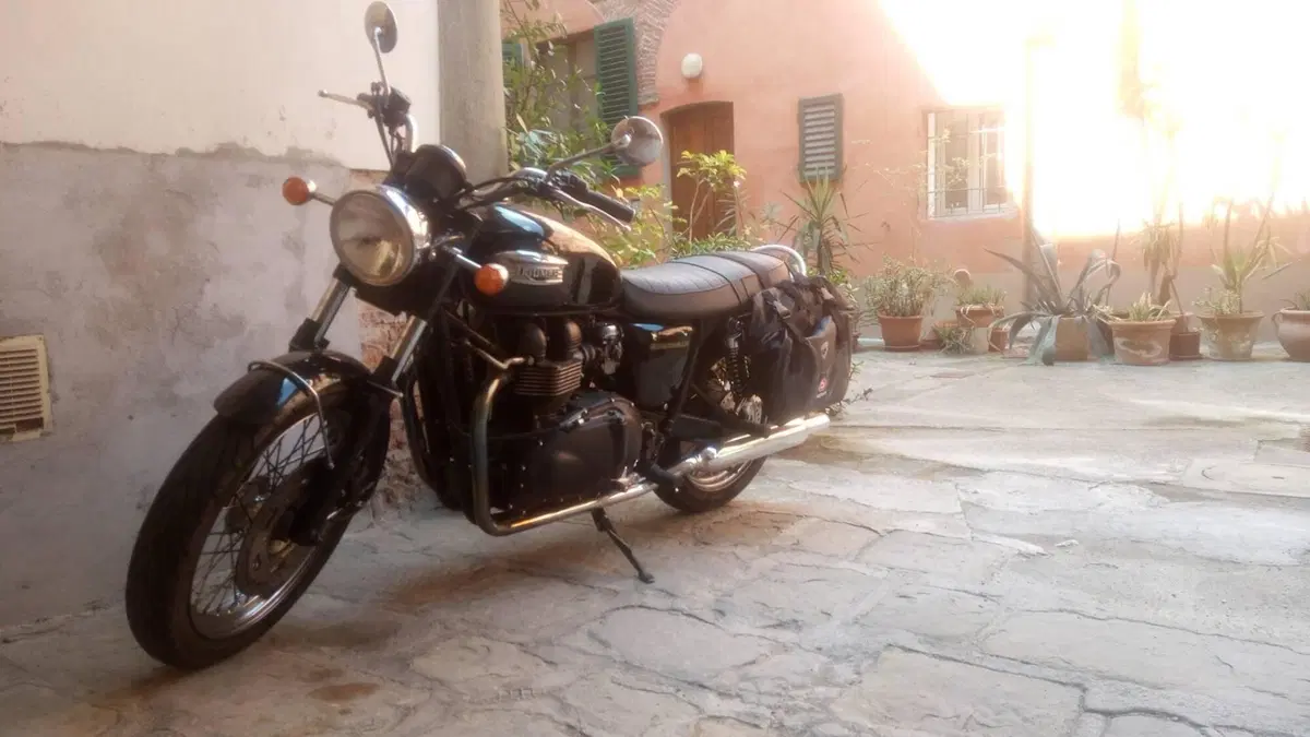 Triumph Bonneville 800 (2002 - 07) (4)