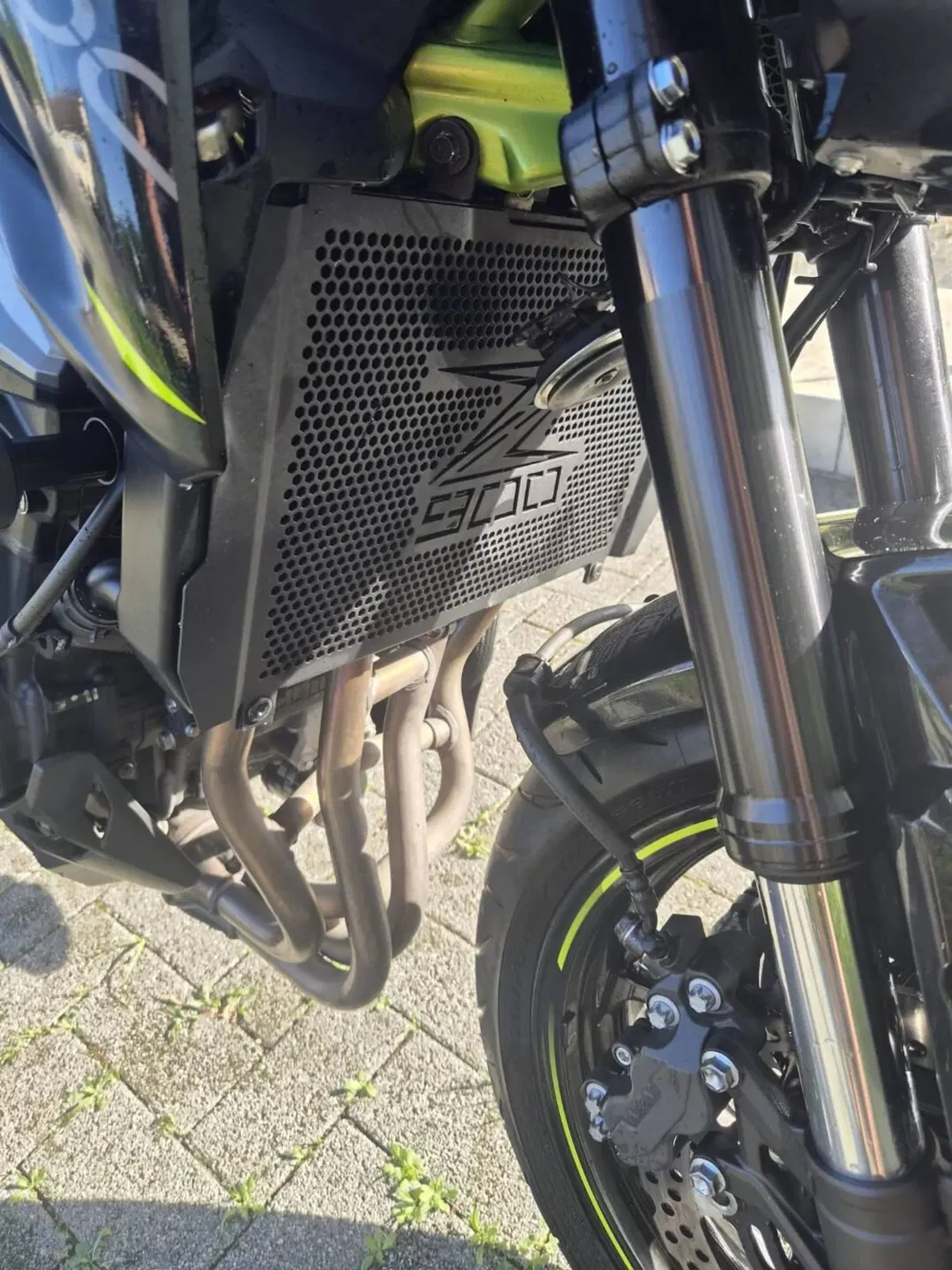 Kawasaki Z 900 A2 (2019) (2)