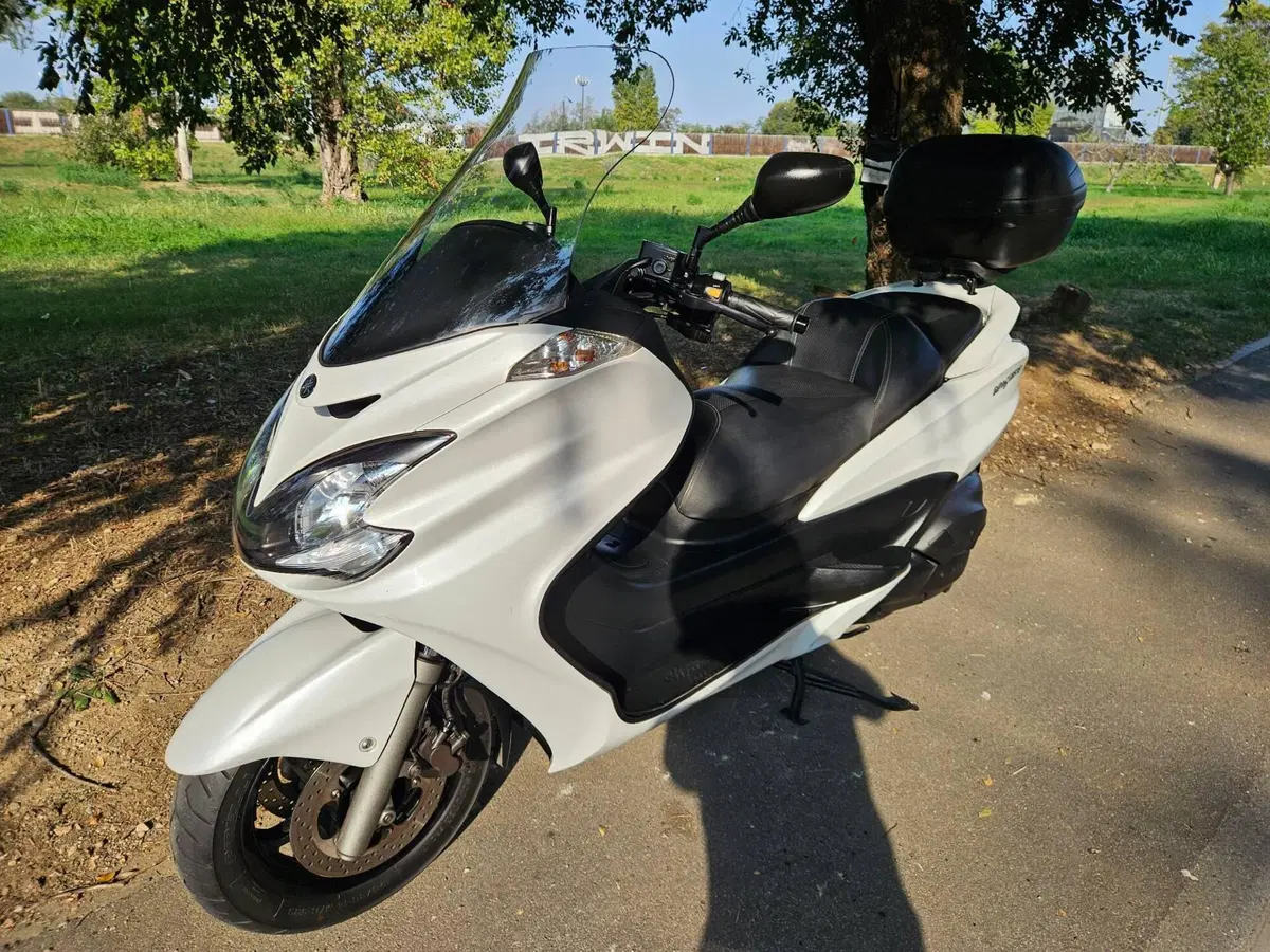 Yamaha Majesty 400 (2009 - 14) (4)