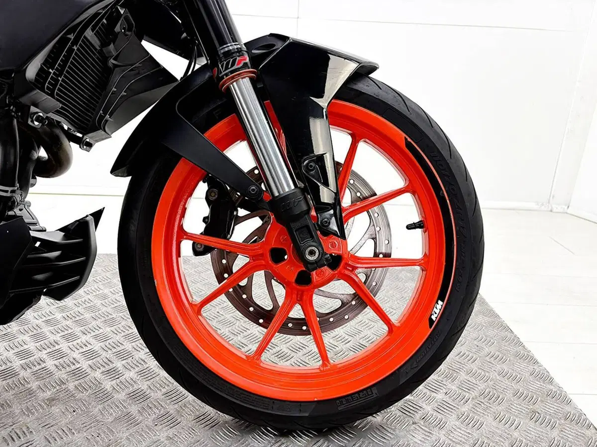 KTM 390 Duke (2021 - 23) (12)