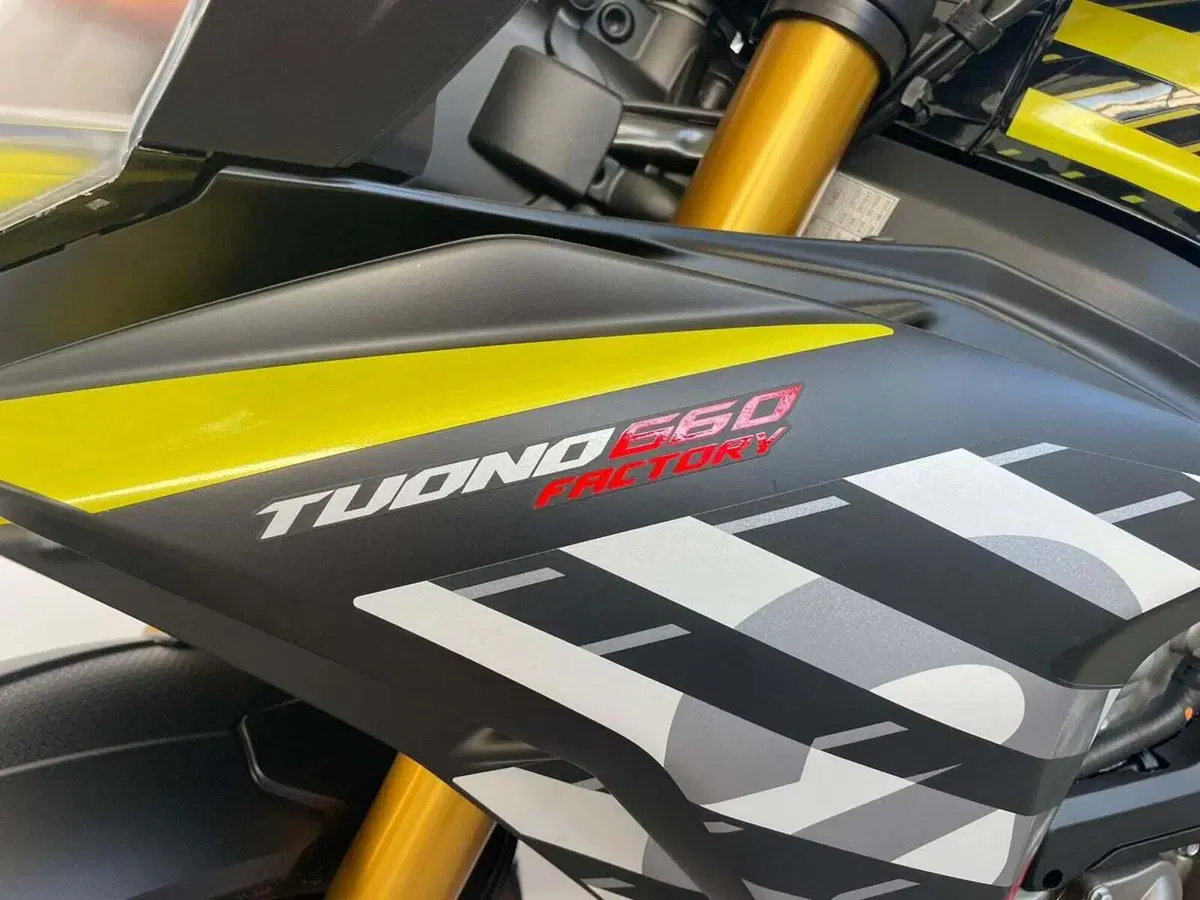 Aprilia Tuono 660 Factory (2025 - 26) (4)