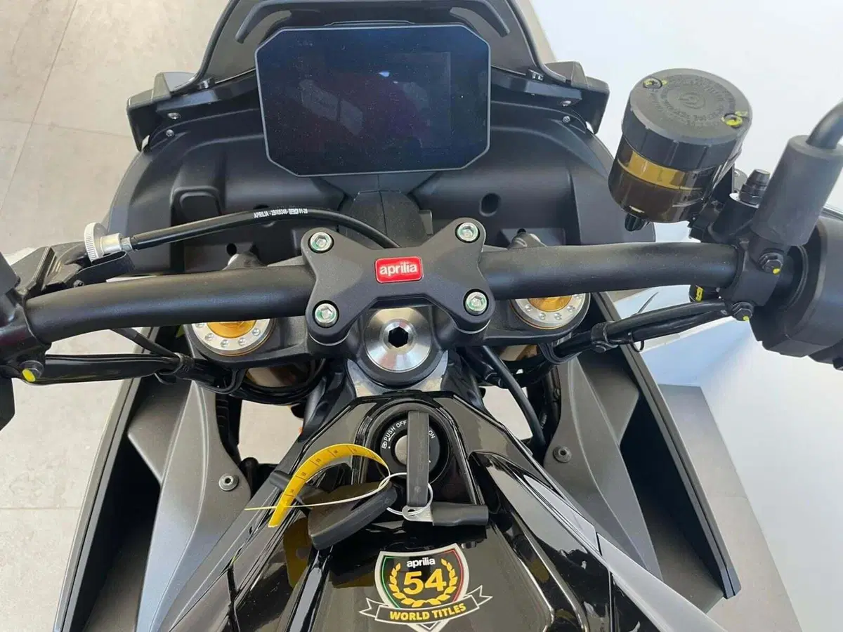 Aprilia Tuono 660 Factory (2025 - 26) (9)