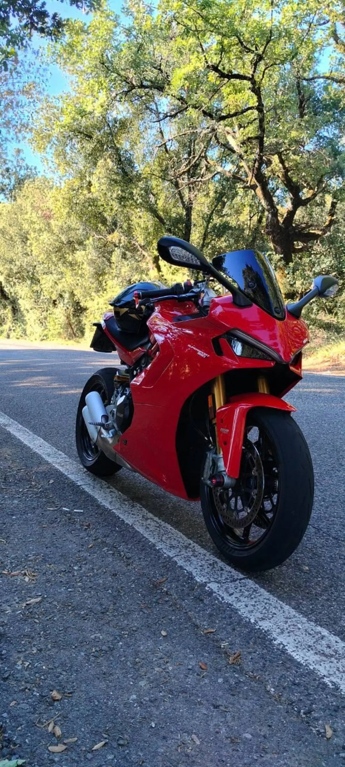 Ducati SuperSport 950 S (2021 - 24) (7)