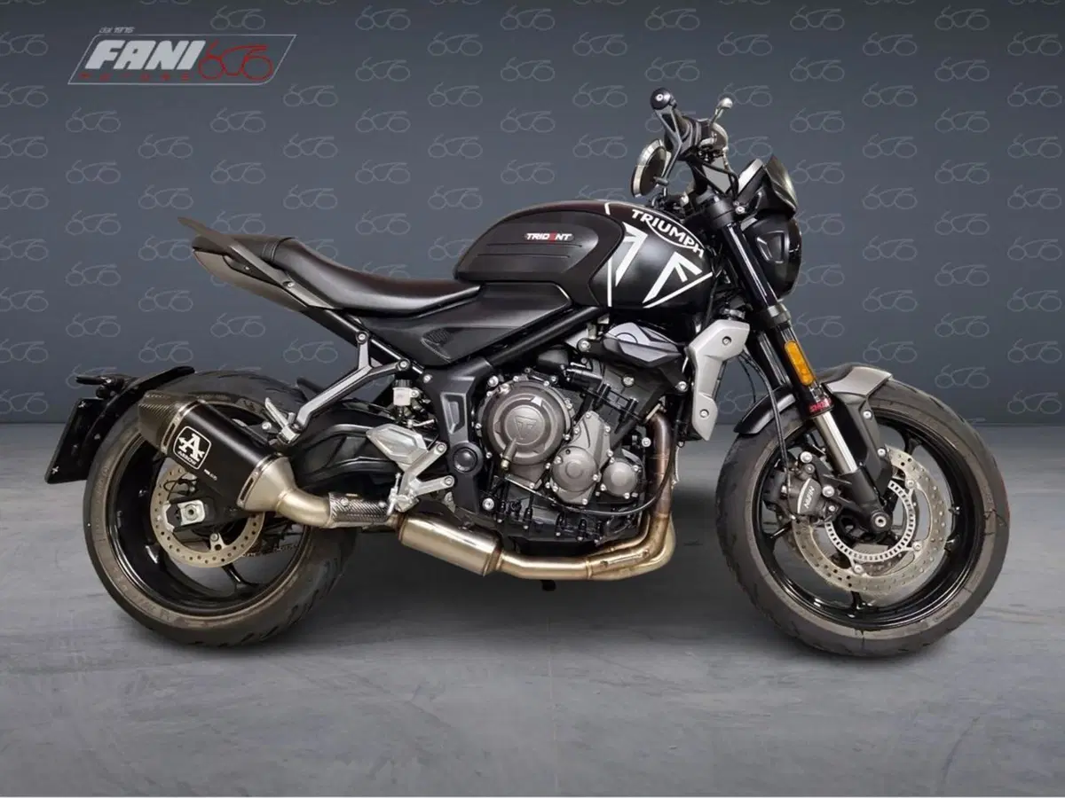 Triumph Trident 660 (2021 - 24)