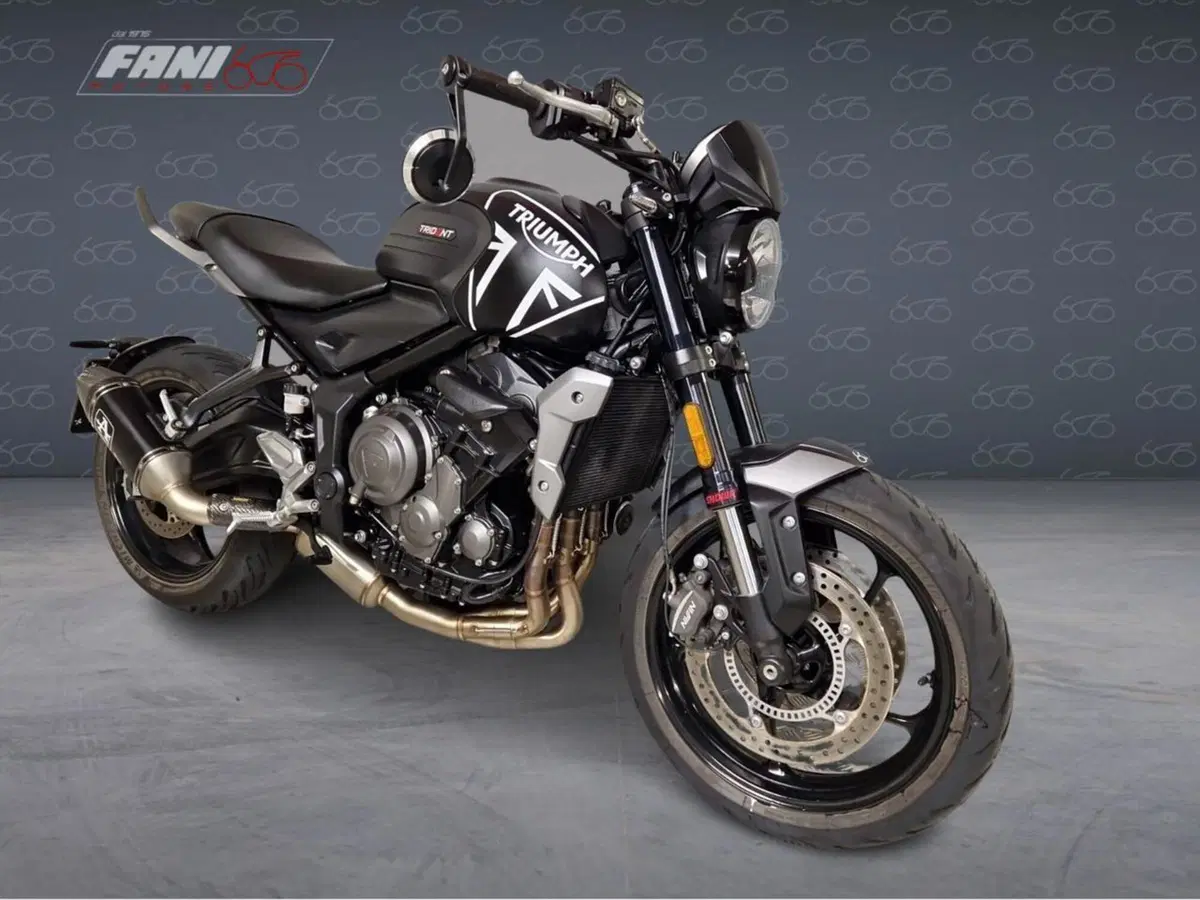 Triumph Trident 660 (2021 - 24) (2)