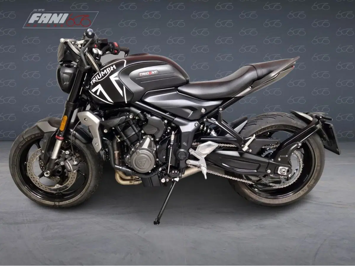 Triumph Trident 660 (2021 - 24) (3)