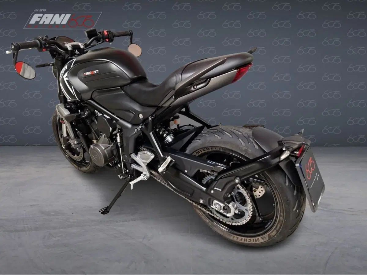 Triumph Trident 660 (2021 - 24) (4)