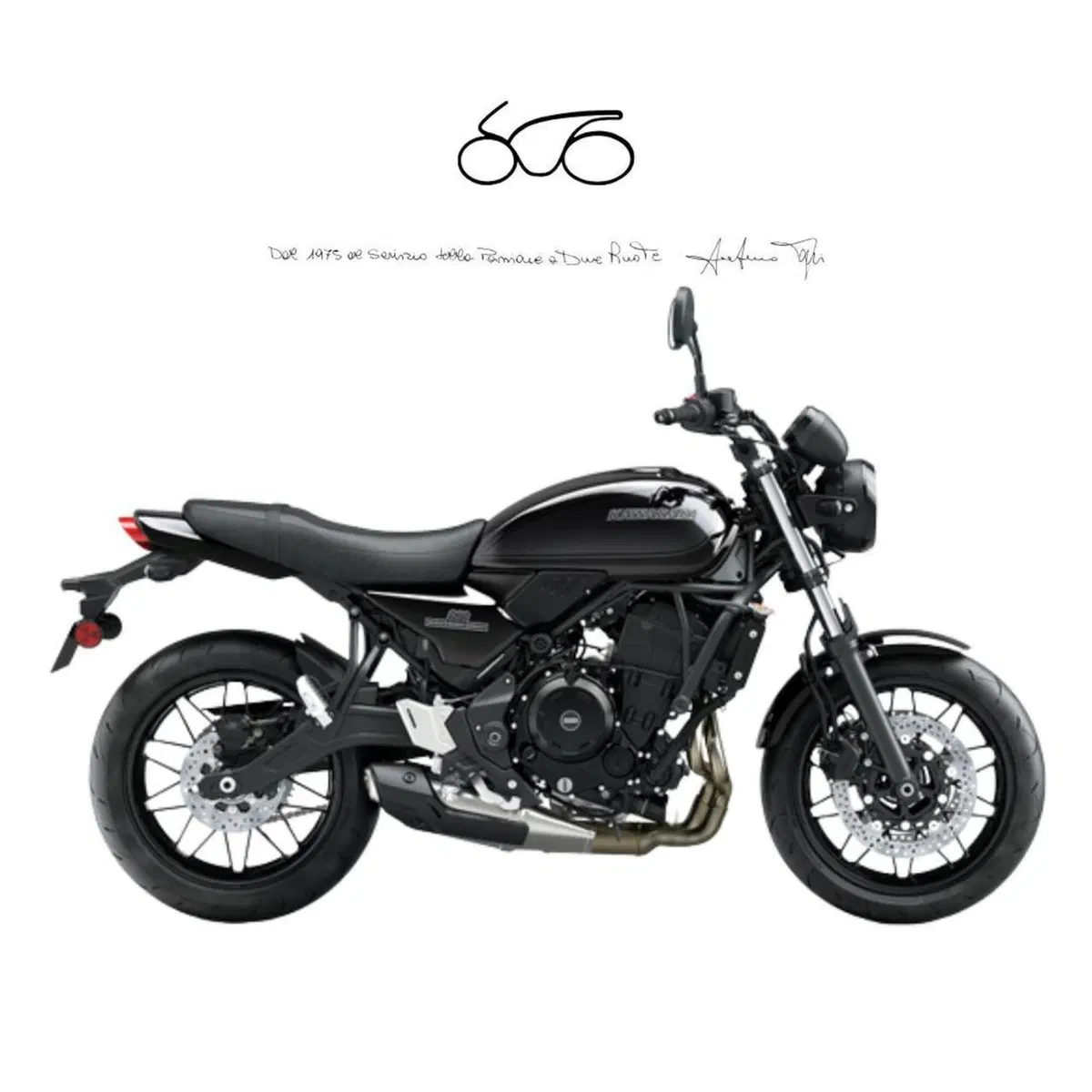 Kawasaki Z 650 RS (2025 - 27)