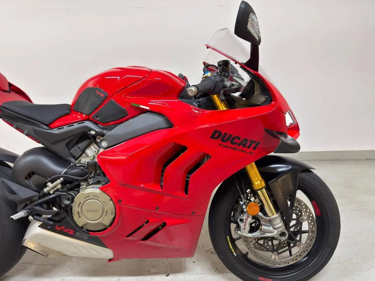 Ducati Panigale V4 S (2022 - 24) (17)