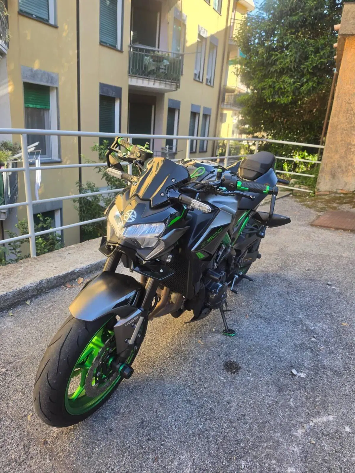Kawasaki Z 900 (2021 - 24) (4)