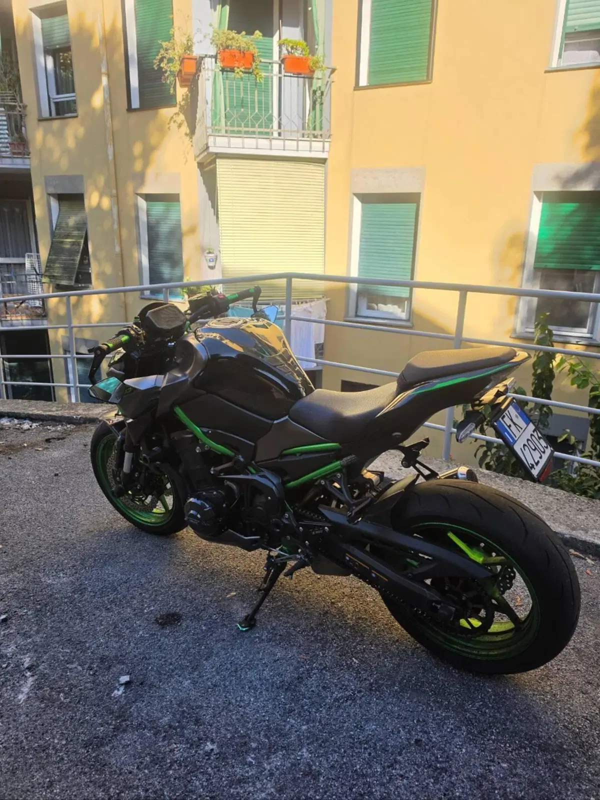 Kawasaki Z 900 (2021 - 24) (5)