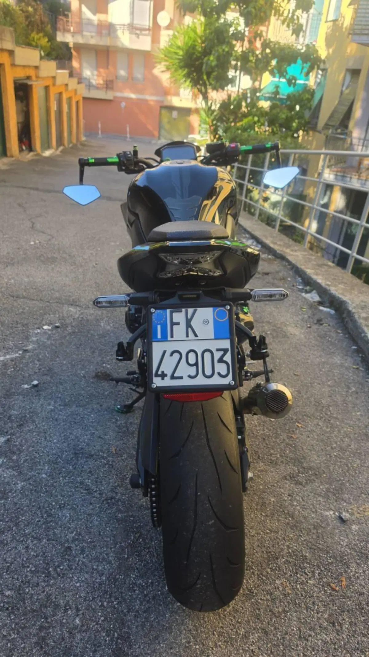 Kawasaki Z 900 (2021 - 24) (6)