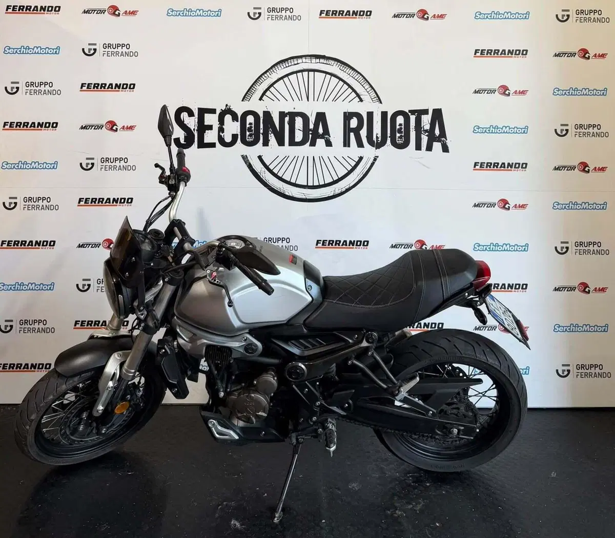 Voge Trofeo 300ACX Scrambler (2021 - 26) (2)