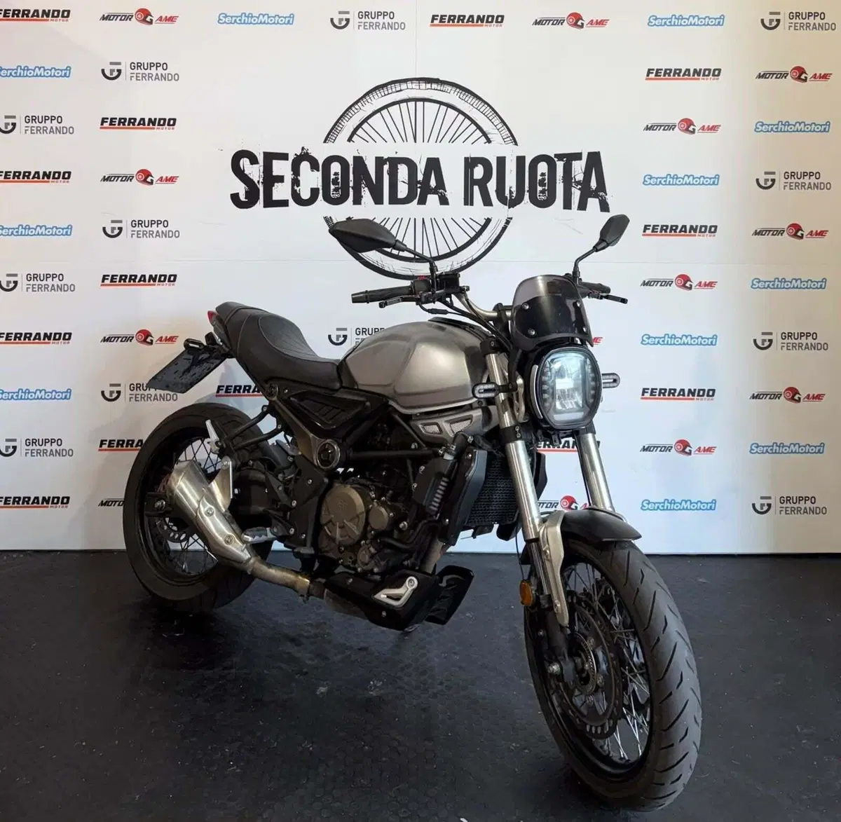 Voge Trofeo 300ACX Scrambler (2021 - 26) (4)