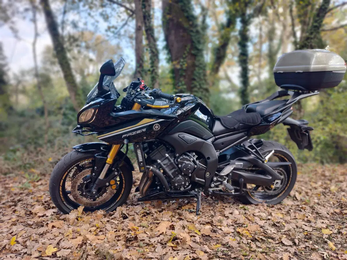 Yamaha Fazer 8 (2010 - 16) (5)