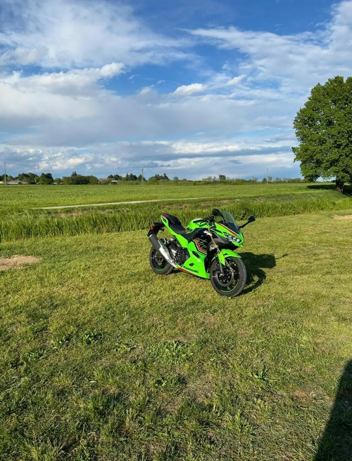 Kawasaki Ninja 400 (2023) (2)
