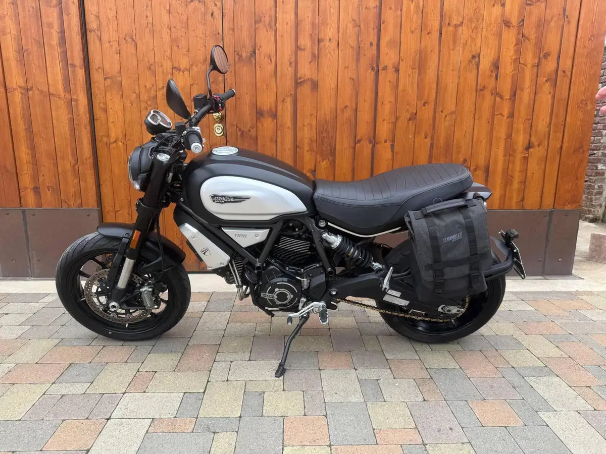 Ducati Scrambler 1100 Dark Pro (2020 - 24)
